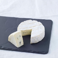 Blue Cheese With Bloomy Rind